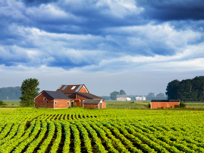 Donegal expanded its agricultural insurance underwriting base from Pennsylvania to the Midwest.