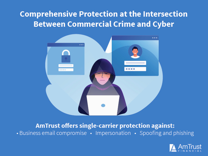 Computer Crime Insurance: What It is, How it Works