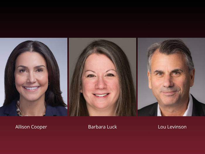 AIG appointments - Cooper, Luck and Levinson