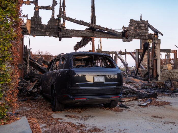 Palisades fire damage